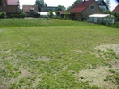 IMG 1081